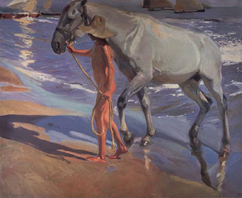 Joaquin Sorolla Y Bastida The bathing of the horse oil painting picture